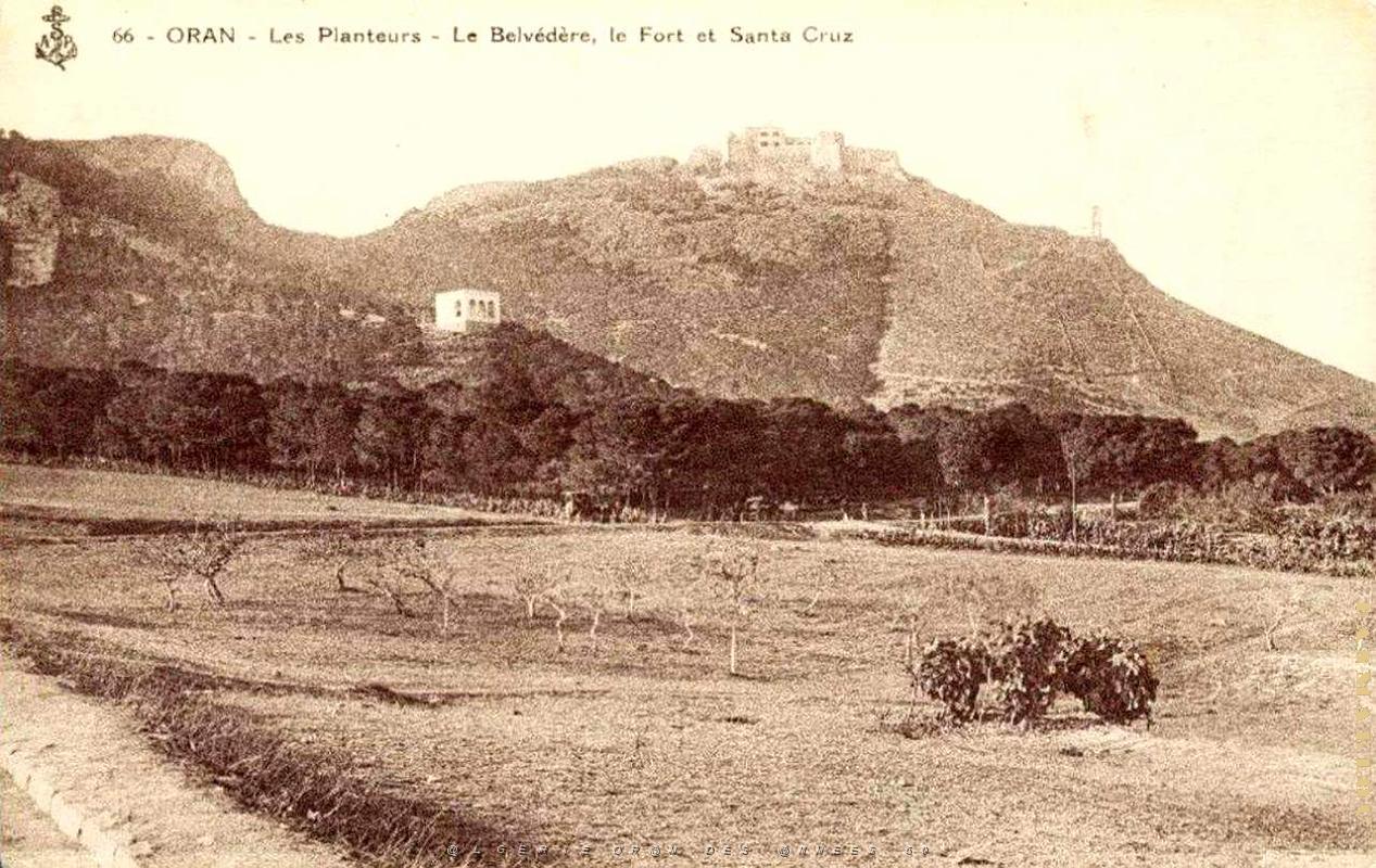 G 003- Planteurs.jpg